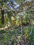 Botanische tuinen