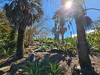 Botanische tuinen