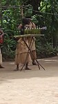 1000024460