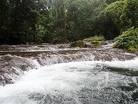 Eden on the River