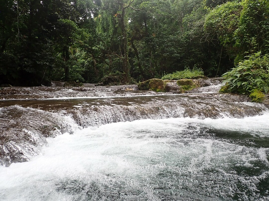 Eden on the River