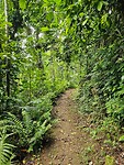 Eden on the River
