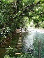 Eden on the River