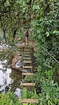 Eden on the River