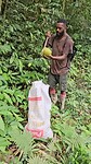 Biausevu waterval
