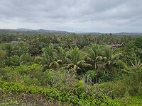 Sand Dunes NP