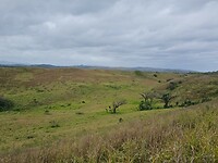 Sand Dunes NP