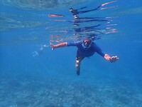 Snorkelen