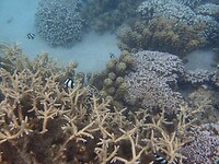 P8160768