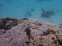 P8160777