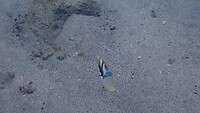 1000027678
