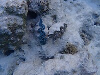 P8170839