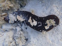 P8170838