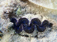 P8170835