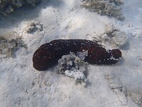 P8180943