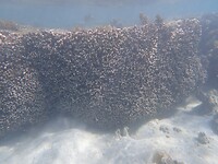 P8180932