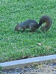 20240822_173454_copy_1200x1600