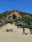 20240822_123337_copy_1200x1600