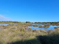 Rottnest Island