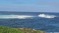 Rottnest Island