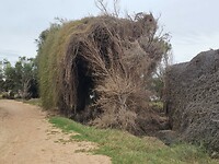 Irwin River