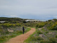 Irwin River