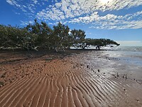 Broome