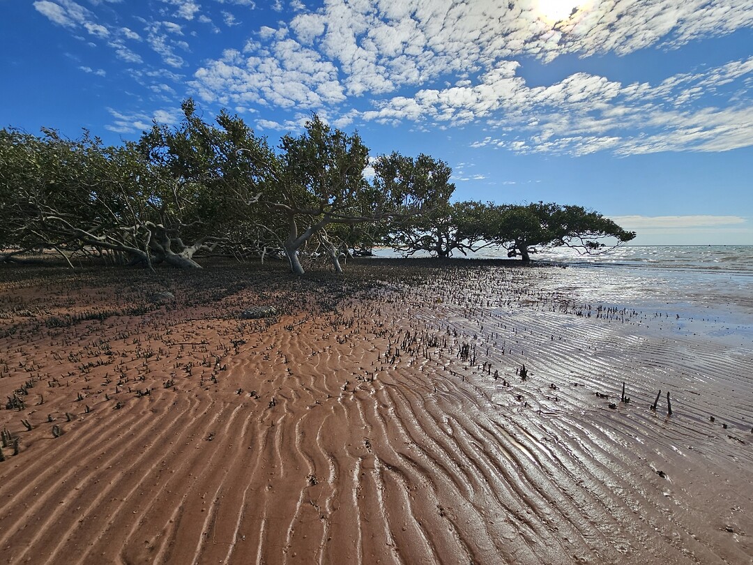 Broome