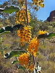 Purnululu