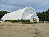 Ice Museum