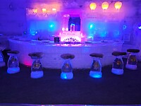 Ice Museum