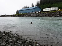 Solomon's Fish Hatchery