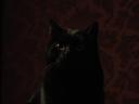 DSC00036