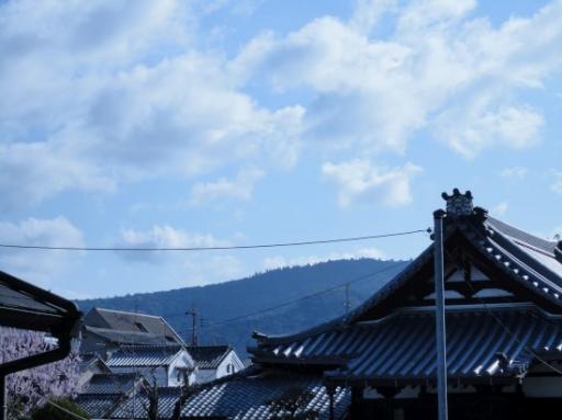 Bergen achter huisjes