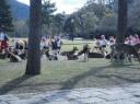 Japanse kinderen zijn stoer