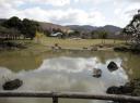 Nara Park Meer