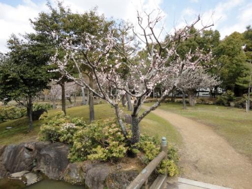 Nara Park 3