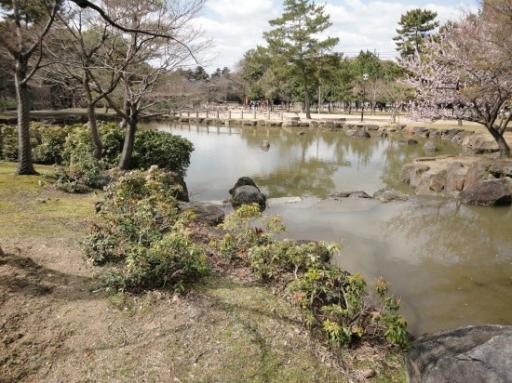 Nara Park Meer 2