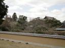 Nara Park Tempel
