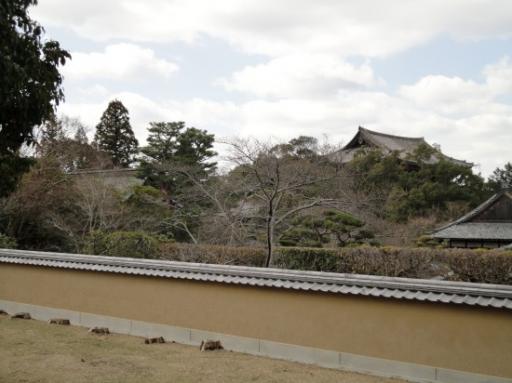 Nara Park Tempel