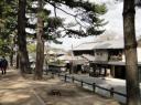 Een paadje in Nara