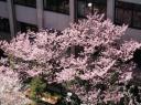 Gaidai Tuin 2