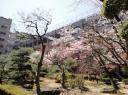Gaidai Tuin 3