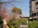 Gaidai Tuin 4