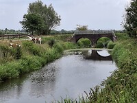 Leuk bruggetje