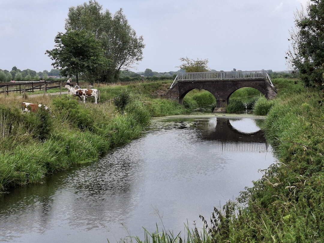 Leuk bruggetje