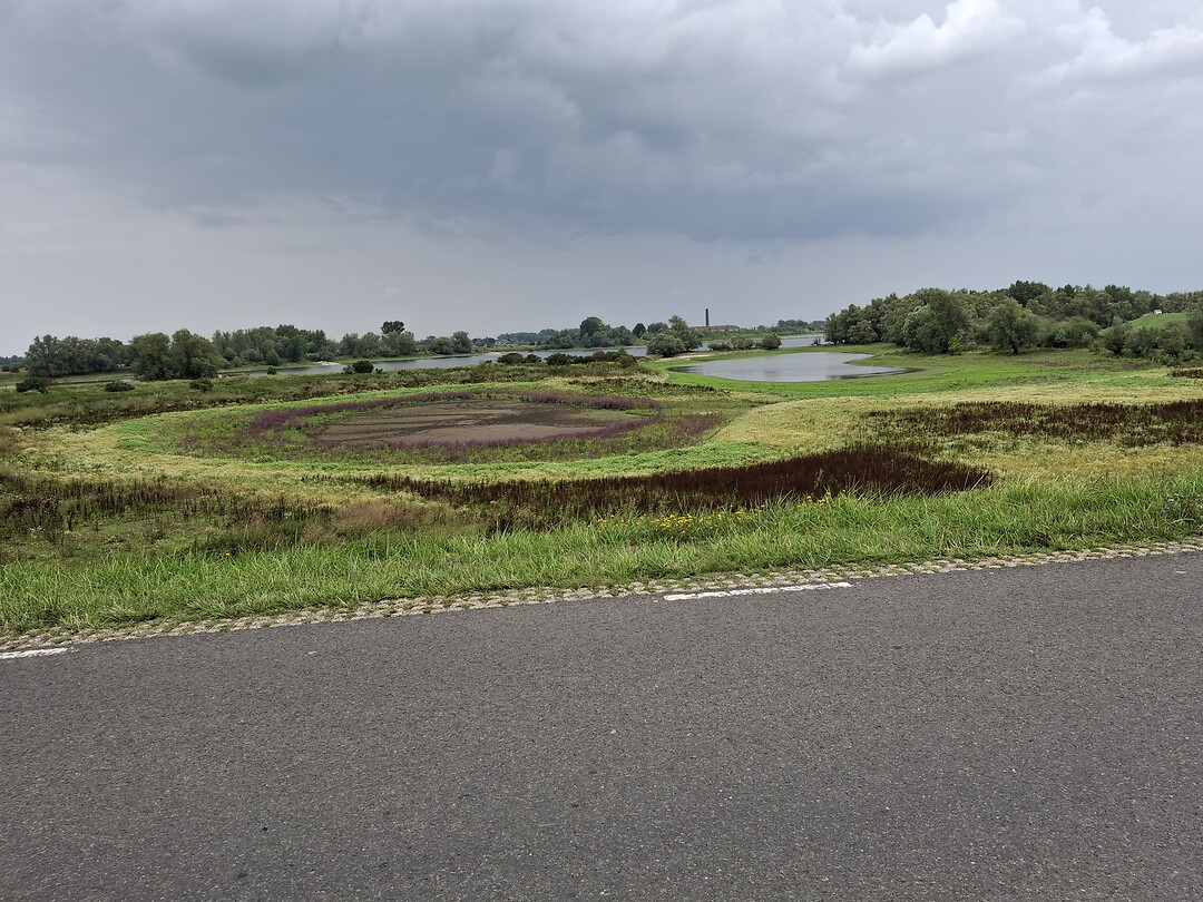In het echt veeteelt mooier