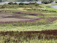 Zo mooi!