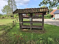 Maiskooi