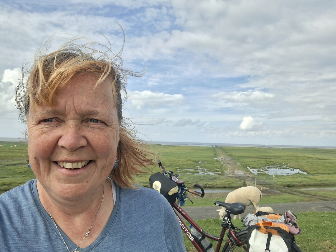 Waddenzee,fiets, schaap en ik